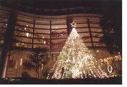 帝国ホテル　クリスマスツリー